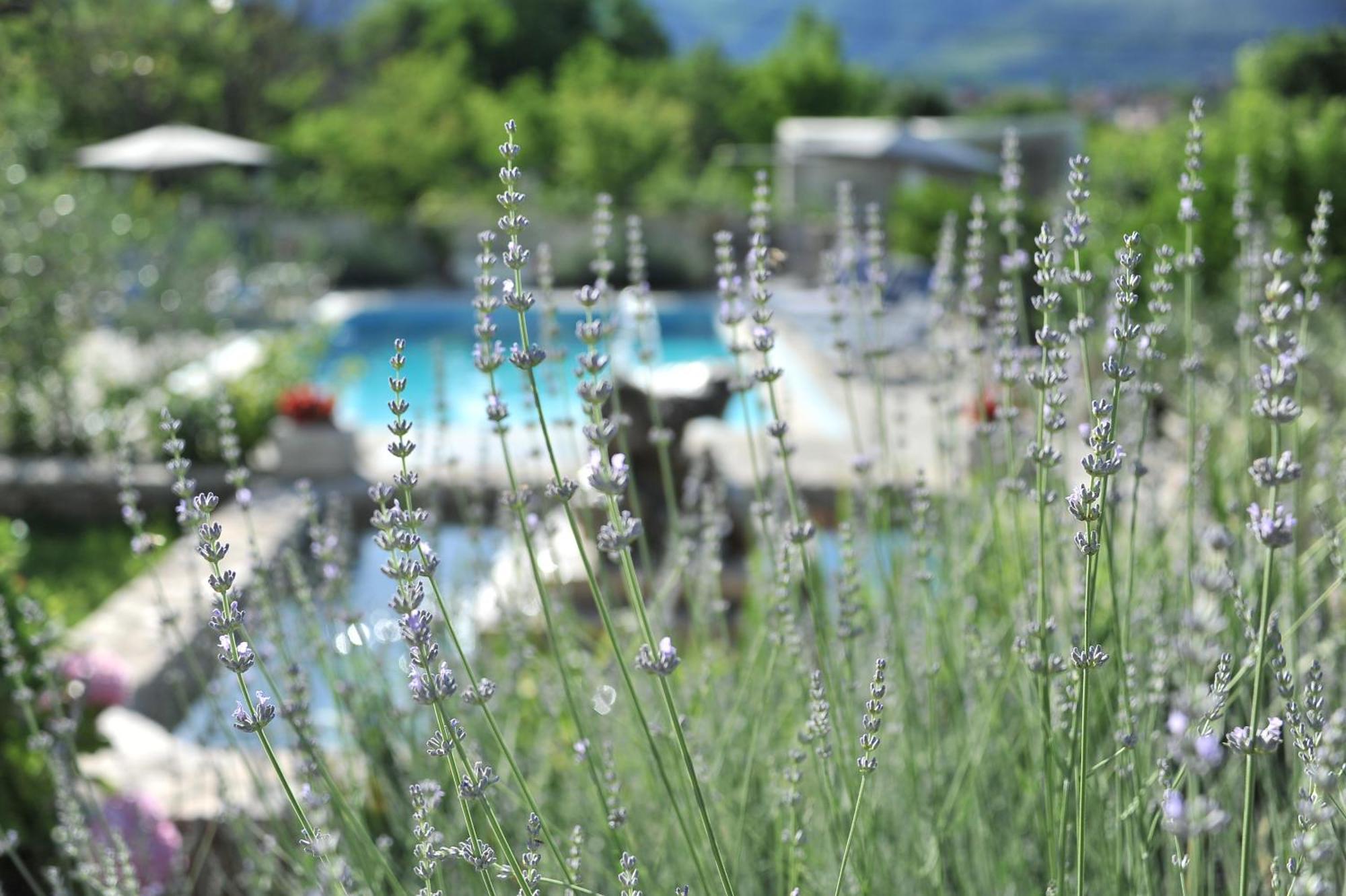 莫斯塔尔Pool House Maslina公寓 外观 照片